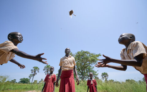 Primary education in South Sudan