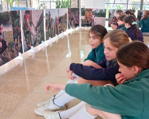 Exposición Senderos Salvajes