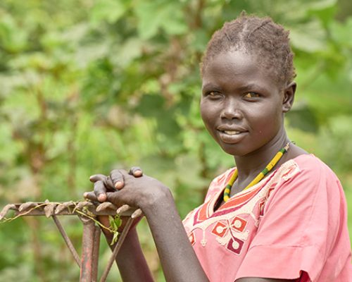 Proyectos de agricultura sostenible en el Loreto School Rumbek. Sudán del Sur